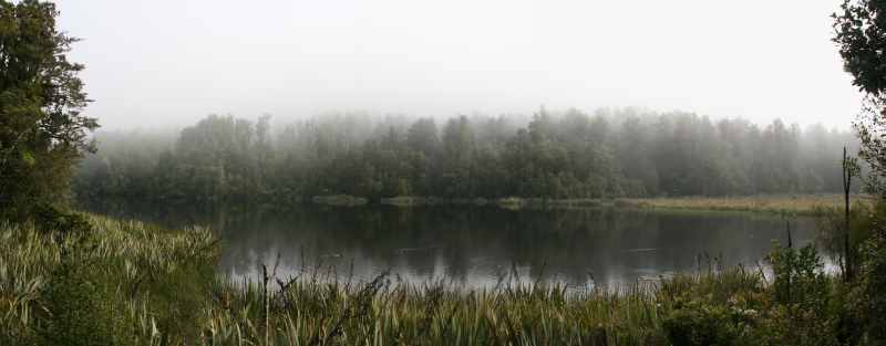 Nieuw-Zeeland 2011 - 1473